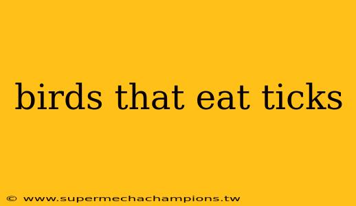 birds that eat ticks