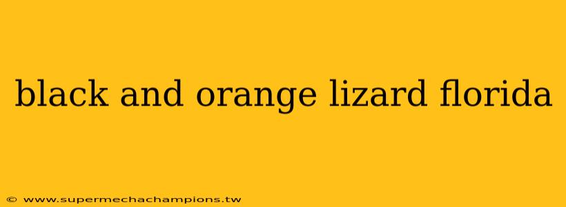 black and orange lizard florida