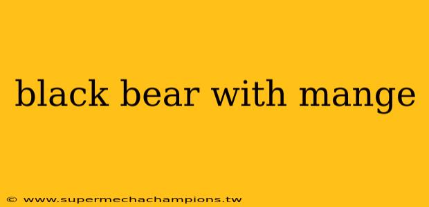 black bear with mange