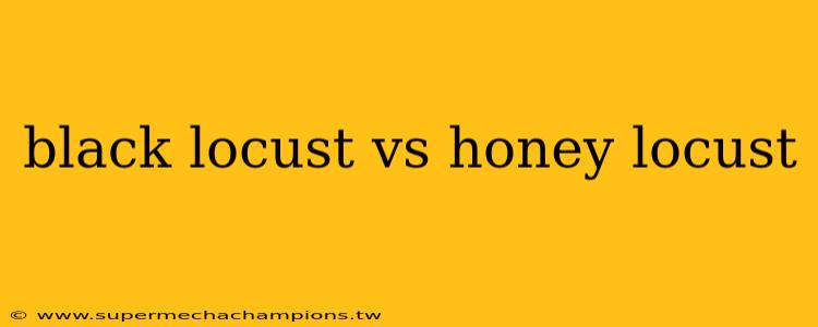black locust vs honey locust