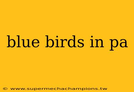 blue birds in pa