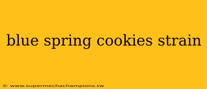 blue spring cookies strain