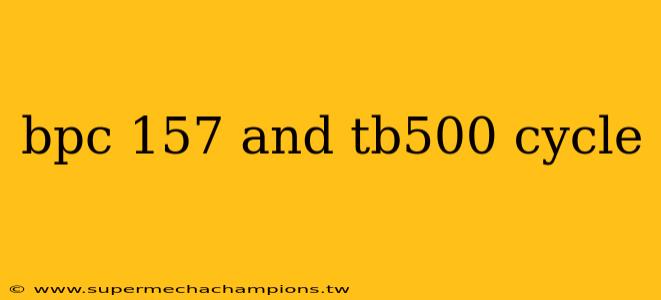 bpc 157 and tb500 cycle