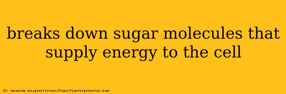 breaks down sugar molecules that supply energy to the cell