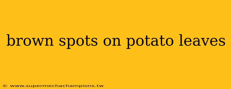 brown spots on potato leaves