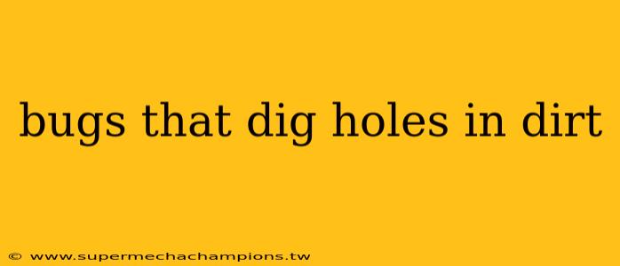 bugs that dig holes in dirt