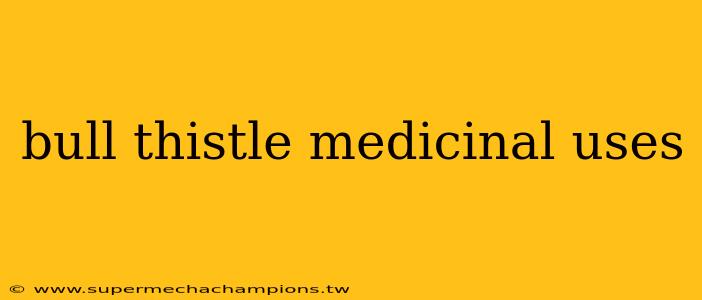 bull thistle medicinal uses