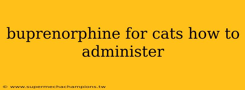 buprenorphine for cats how to administer