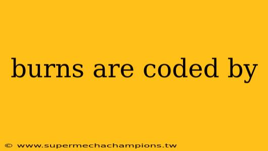 burns are coded by