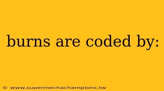 burns are coded by: