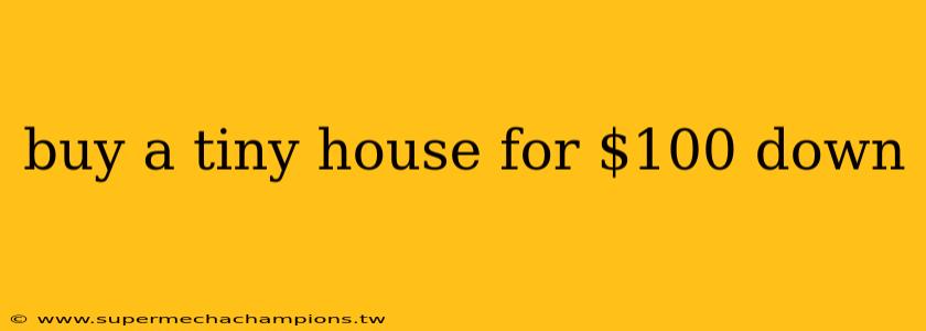 buy a tiny house for $100 down
