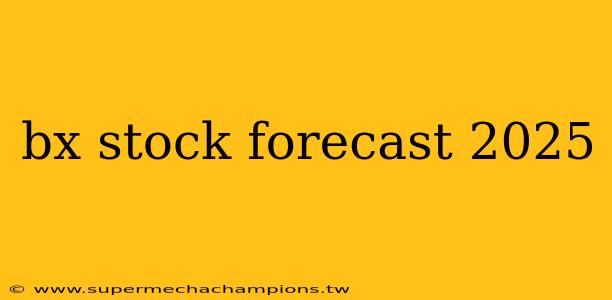 bx stock forecast 2025