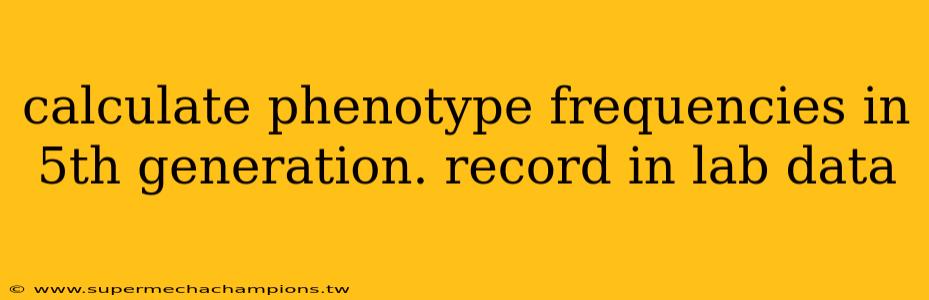 calculate phenotype frequencies in 5th generation. record in lab data