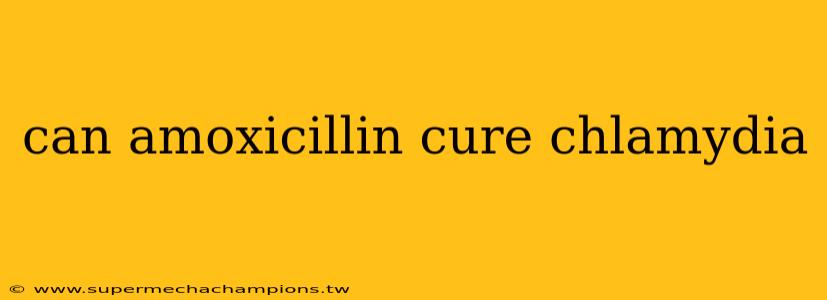 can amoxicillin cure chlamydia
