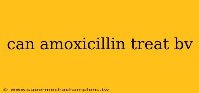 can amoxicillin treat bv