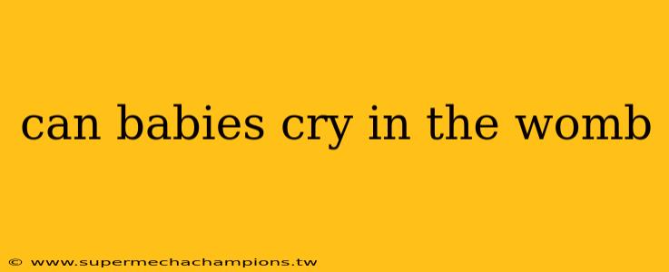 can babies cry in the womb