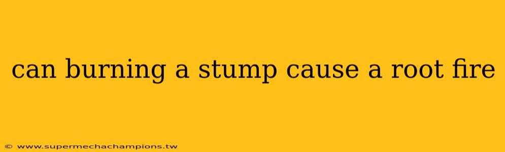 can burning a stump cause a root fire