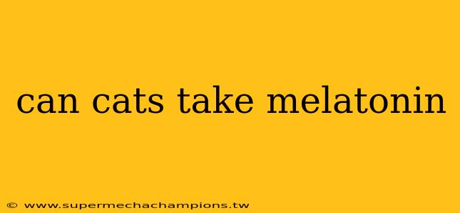 can cats take melatonin