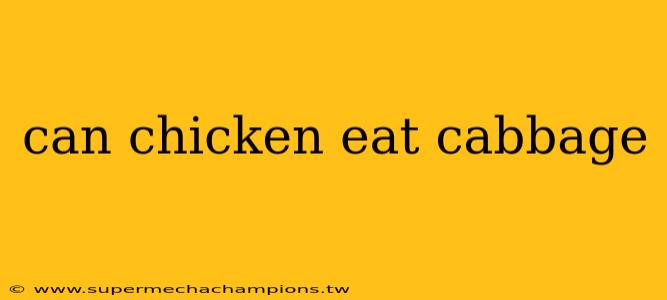 can chicken eat cabbage