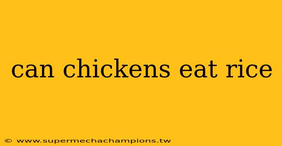 can chickens eat rice