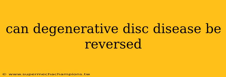 can degenerative disc disease be reversed