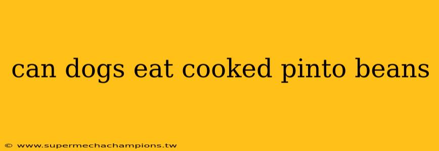 can dogs eat cooked pinto beans
