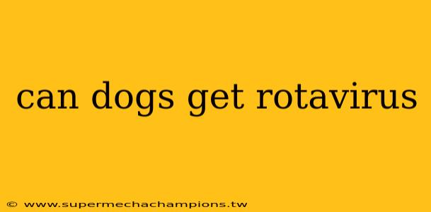 can dogs get rotavirus