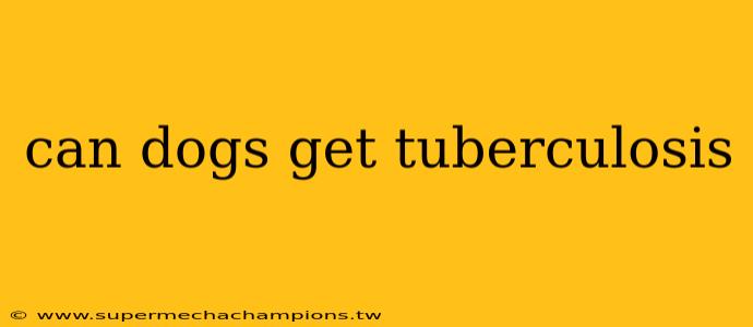 can dogs get tuberculosis