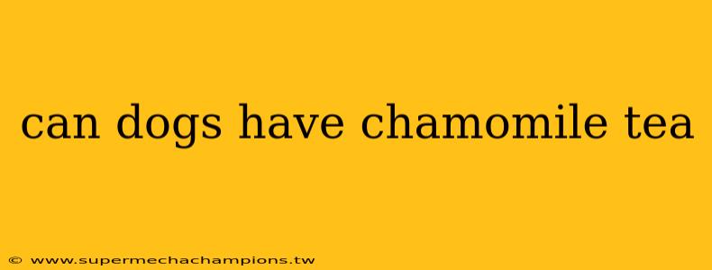 can dogs have chamomile tea