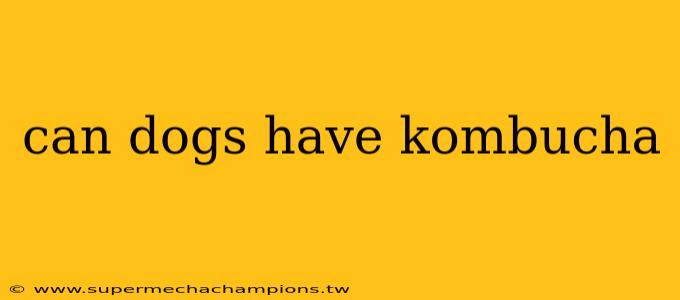 can dogs have kombucha