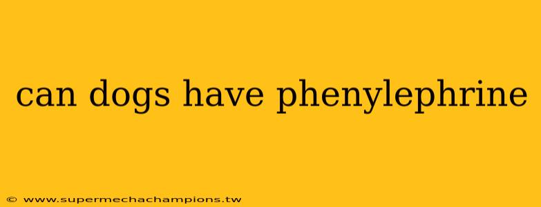 can dogs have phenylephrine