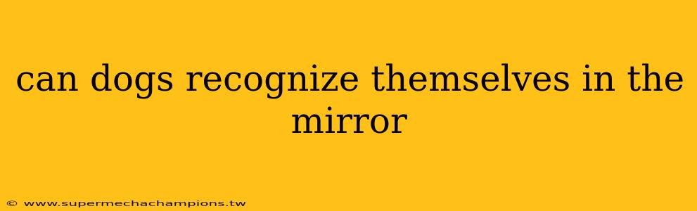 can dogs recognize themselves in the mirror