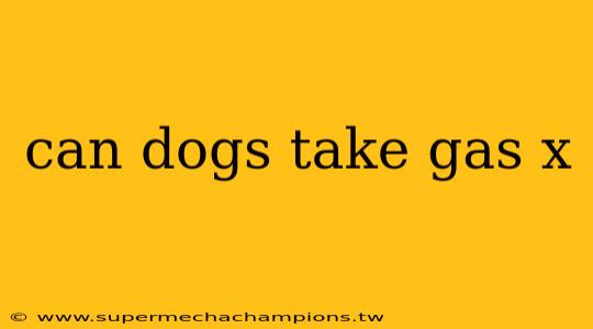 can dogs take gas x