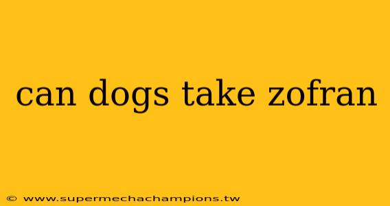 can dogs take zofran