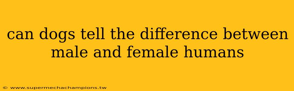 can dogs tell the difference between male and female humans