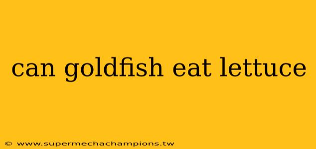 can goldfish eat lettuce