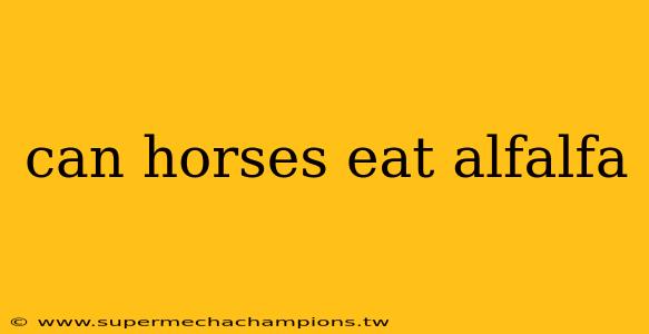 can horses eat alfalfa