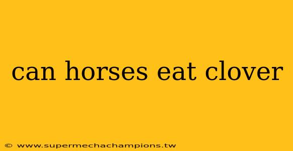 can horses eat clover