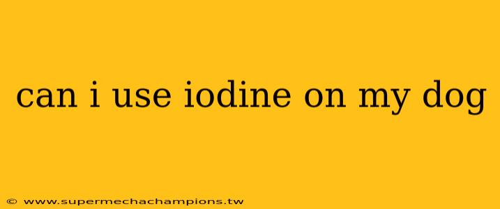 can i use iodine on my dog