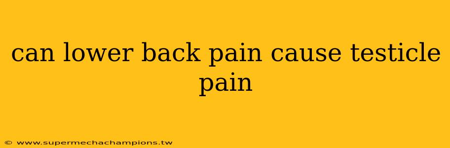 can lower back pain cause testicle pain