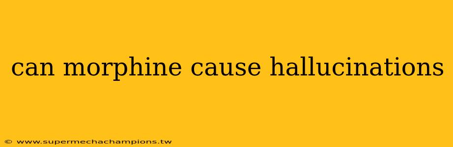 can morphine cause hallucinations