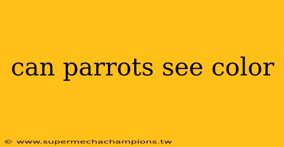 can parrots see color