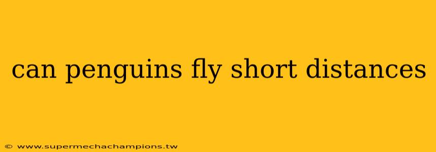can penguins fly short distances