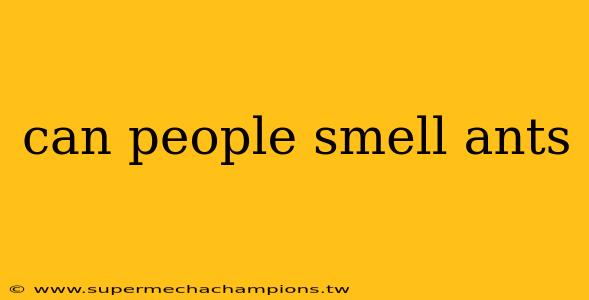 can people smell ants
