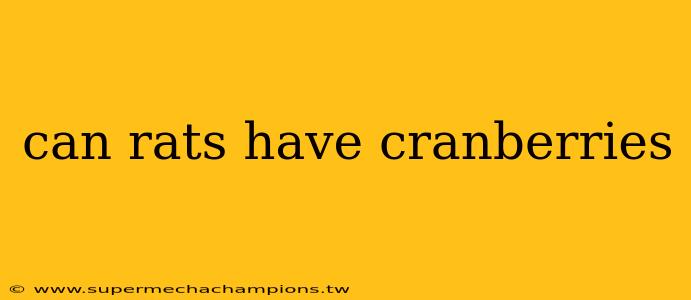 can rats have cranberries