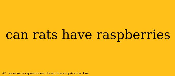 can rats have raspberries