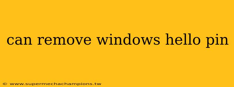 can remove windows hello pin