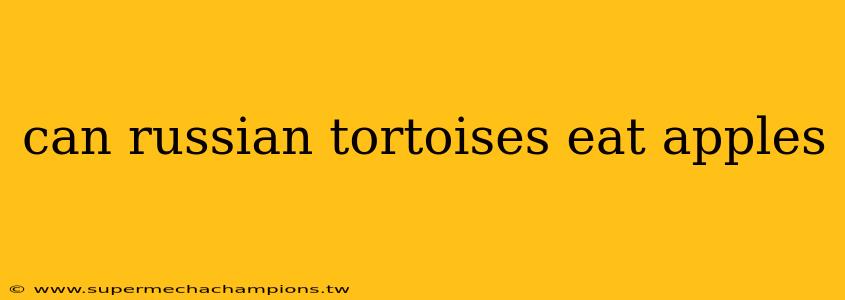 can russian tortoises eat apples