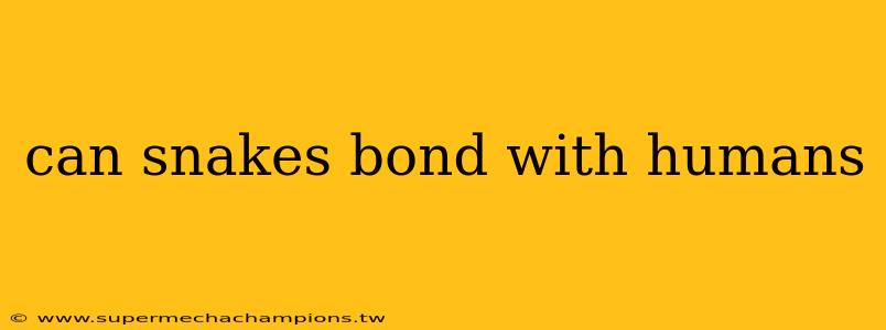 can snakes bond with humans
