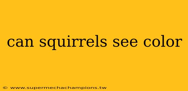 can squirrels see color